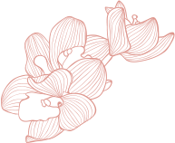ira spa flower